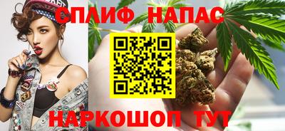 гидропоника Пенза