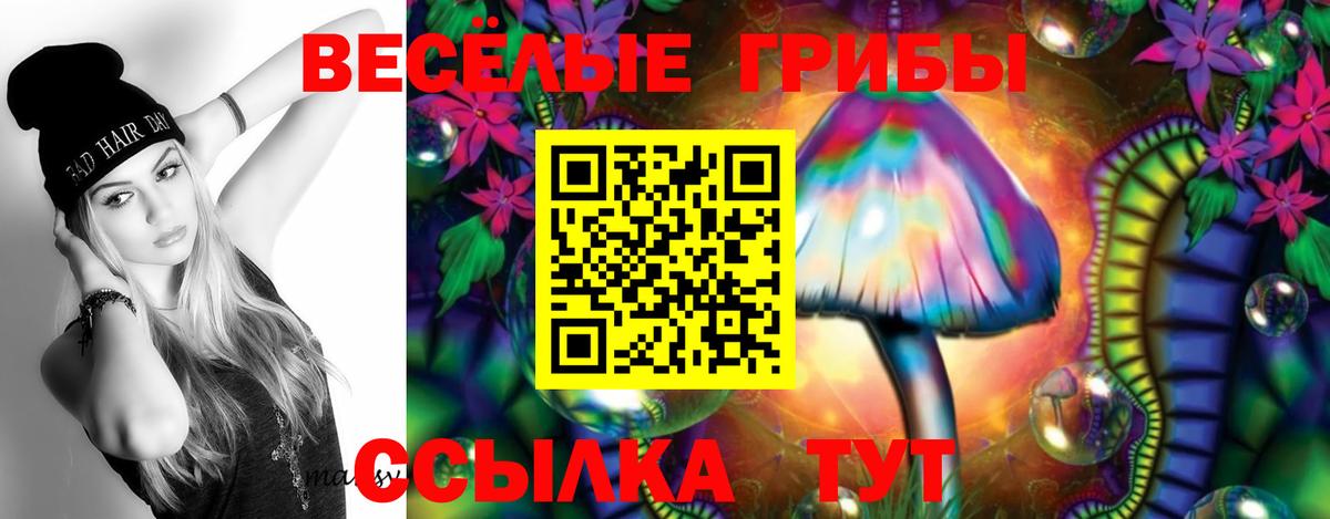 Псилоцибиновые грибы GOLDEN TEACHER Прокопьевск