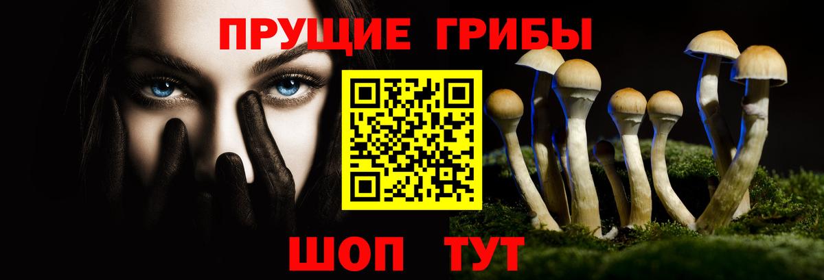 Псилоцибиновые грибы MAGIC MUSHROOMS  Вход с VPN  Галлюциногенные грибы Psilocybe  Прокопьевск 